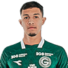 Vitor Hugo