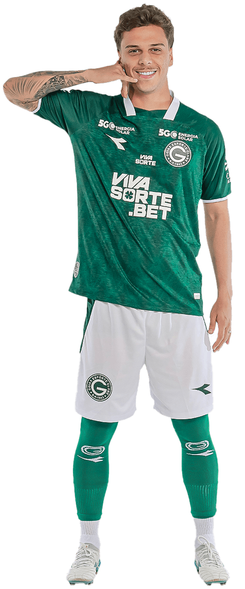 Vitor Hugo da Silva Gonçalves