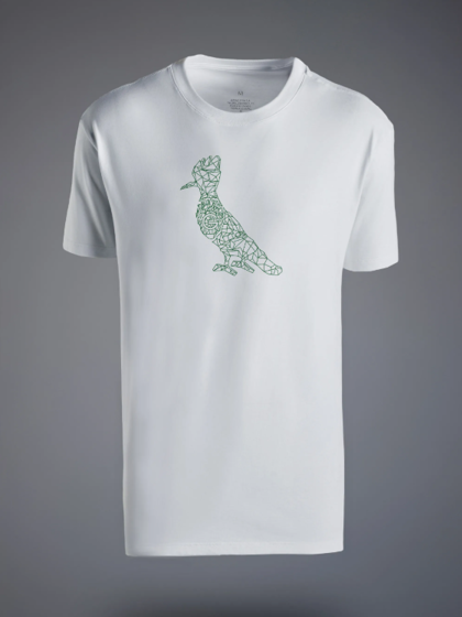 Camiseta Goiás Esporte Clube 11