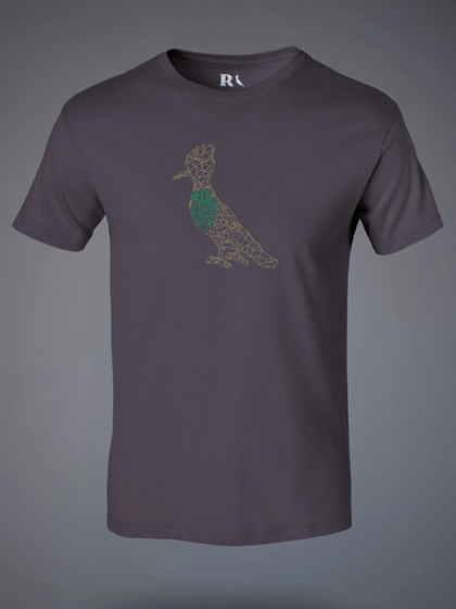 Camiseta Goiás Esporte Clube 16