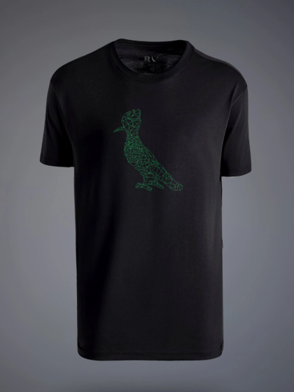 Camiseta Goiás Esporte Clube 10