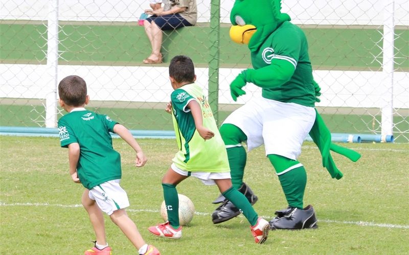 Escolinhas: Volta às aulas