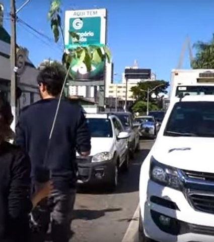 Verde: Goiás realiza ação no dia Mundial do Meio Ambiente 