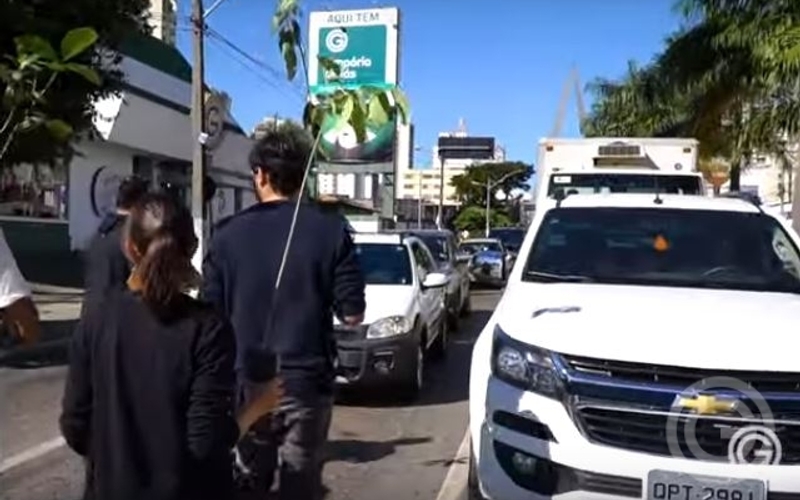 Verde: Goiás realiza ação no dia Mundial do Meio Ambiente 