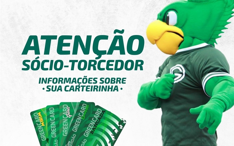 Sócio Sou Verdão: Saiba como retirar sua carteira exclusiva na Serrinha