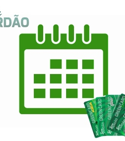 Sou Verdão: Cronograma de 10 dias para quem ainda não retirou a sua carteirinha