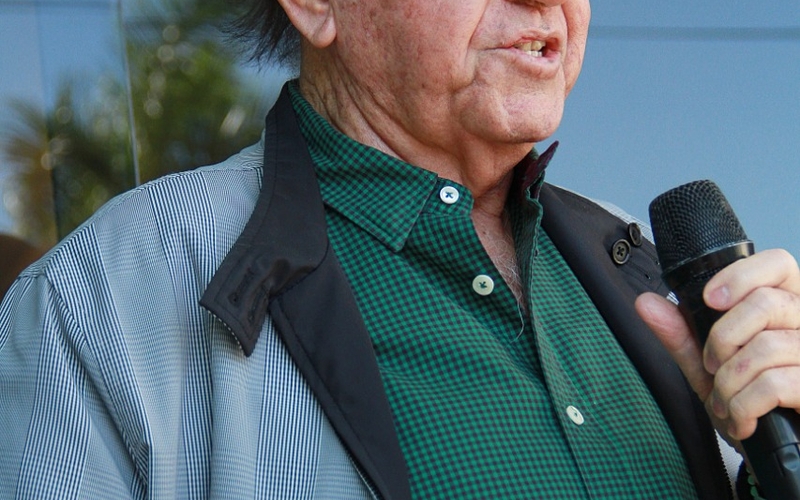 Hailé Pinheiro é internando com Covid-19