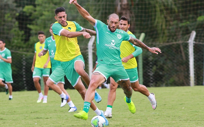 Série A: Verdão treina forte para enfrentar o Fluminense no RJ