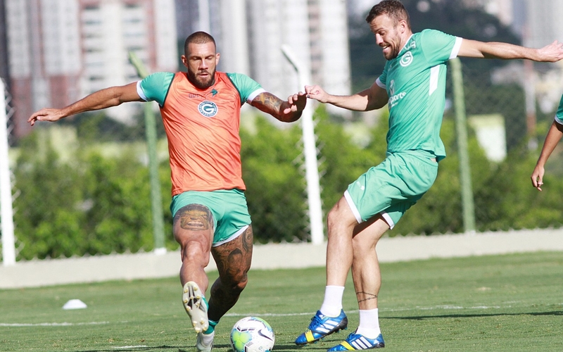 Verdão inicia importante semana de treinamentos