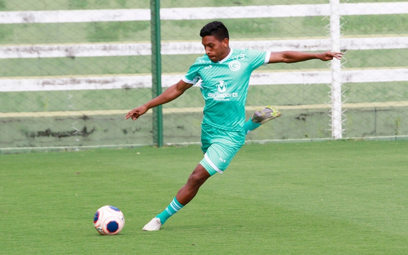 Verdão pronto para o clássico