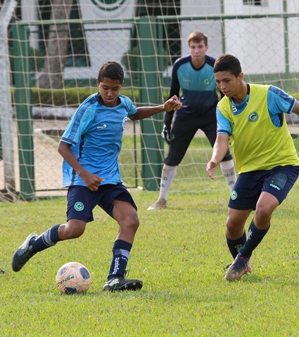 Sub-15: Galeria de imagens