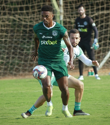 Verdão inicia os preparativos para o confronto direto com CRB em Maceió (AL)