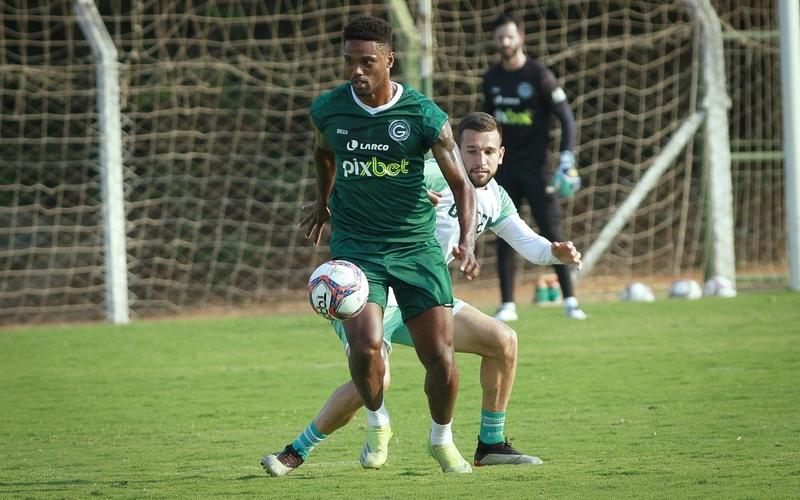 Verdão inicia os preparativos para o confronto direto com CRB em Maceió (AL)