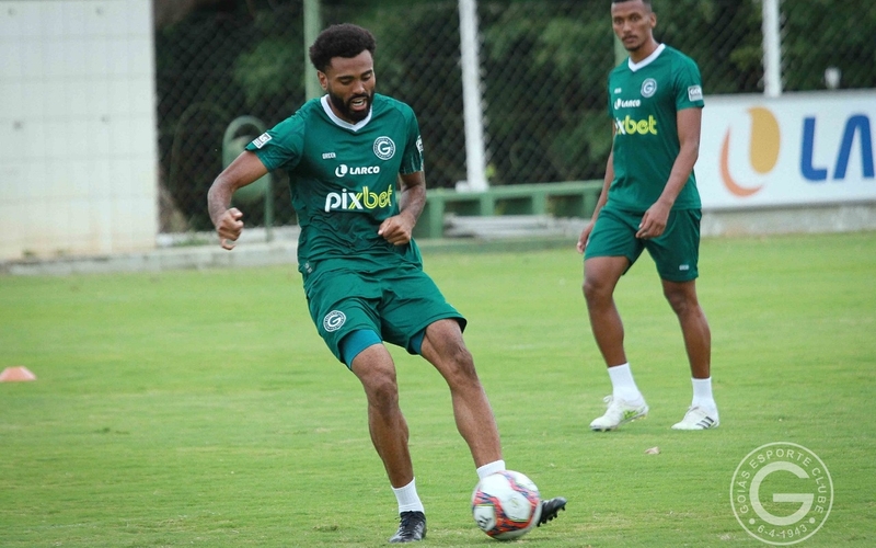 Guarani x Goiás: Esmeraldino inicia os trabalhos visando a decisão no Brinco de Ouro