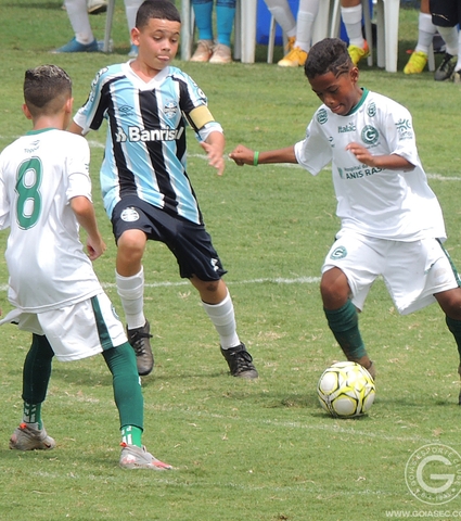 Imagens das finais do GO Cup 2021