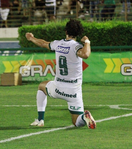 Cada jogo foi uma final; confira toda a caminhada esmeraldina de retorno à Série A