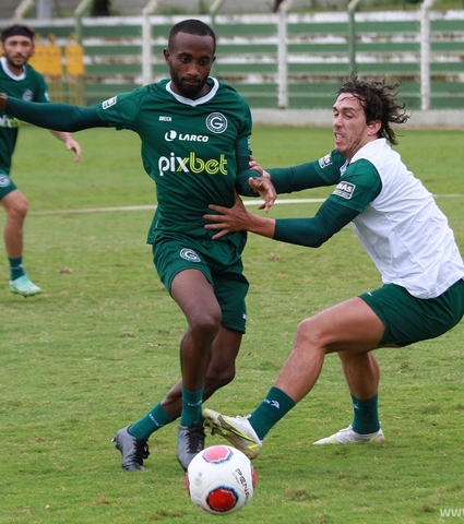 Goianão 2022: Verdão pronto para a estreia