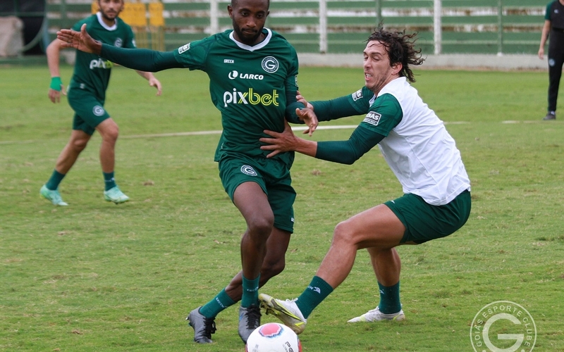 Goianão 2022: Verdão pronto para a estreia
