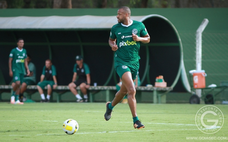 Goiás x Palmeiras: Elenco trabalha no CT Edmo Pinheiro