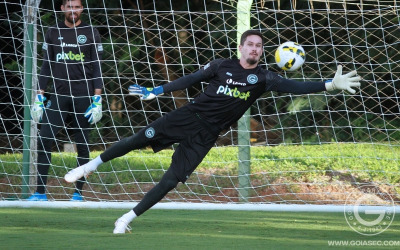 Brasileirão Série A: Goiás realiza último treino antes do duelo com o Palmeiras