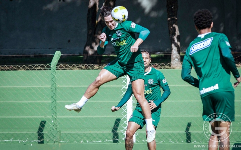 Verdão pronto para o oitavo jogo na Série A 2022 - Goiás x RB Bragantino