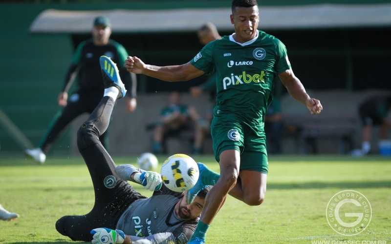 Garantido na Copa do Brasil, Goiás retorna sua atenções para o Brasileirão