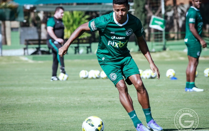 Goiás x Ceará: De volta a Goiânia, esmeraldino retorna a campo neste domingo (12) na Serrinha