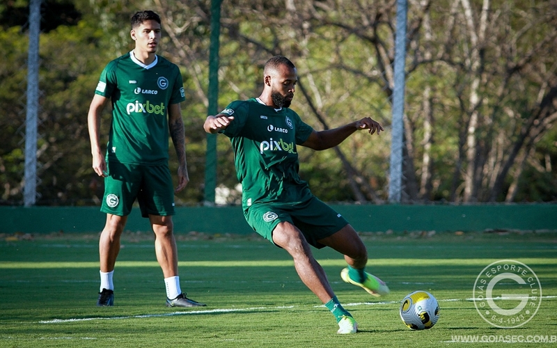 Verdão se prepara para a decisão pela Copa do Brasil