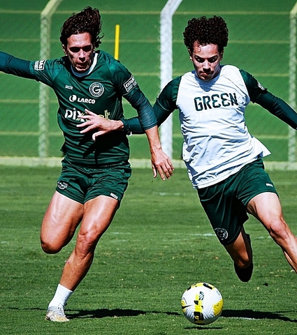 2° turno: Verdão pronto para o duelo com o Coritiba