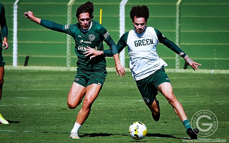 2° turno: Verdão pronto para o duelo com o Coritiba
