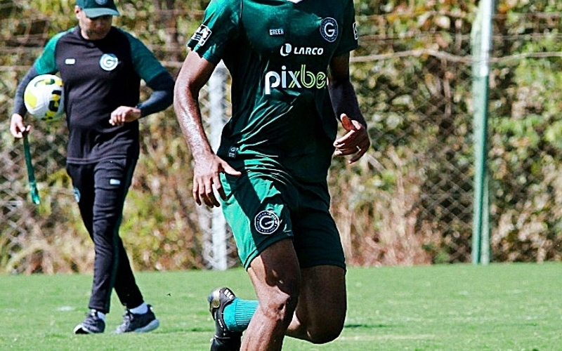 Série A: Verdão treina para encarar o líder