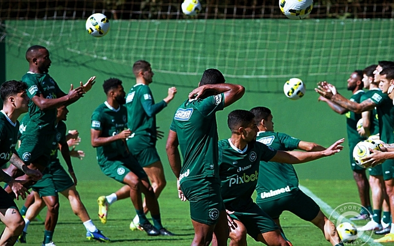 Goiás x Avaí: Elenco inicia a preparação para o confronto