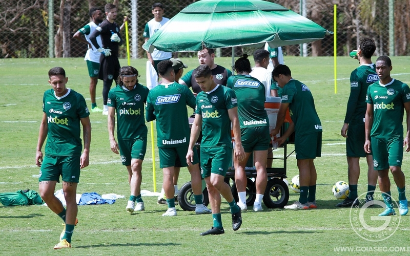 Direto do CT: Verdão de olho no Santos
