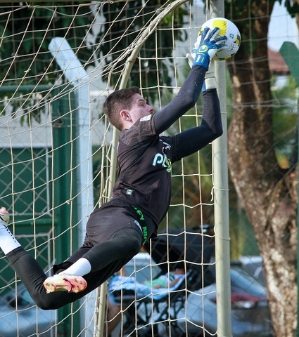 Goiás x Botafogo: Verdão pronto para o duelo