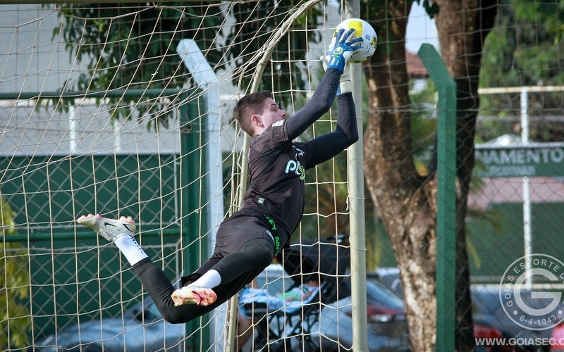 Goiás x Botafogo: Verdão pronto para o duelo