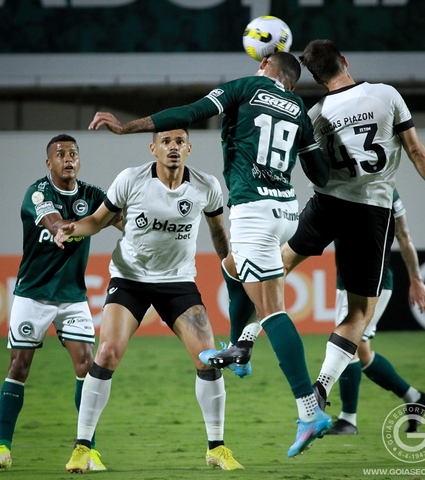 Goiás 0 x 1 Botafogo