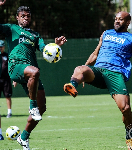 Verdão pronto para encarar o Corinthians