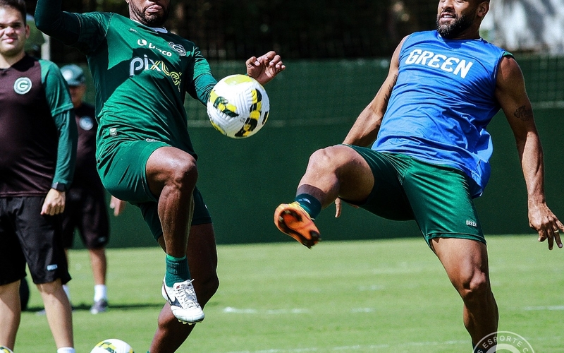 Verdão pronto para encarar o Corinthians