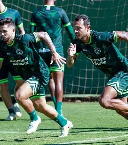 Goiás x Palmeiras - Esmeraldino está pronto para o duelo