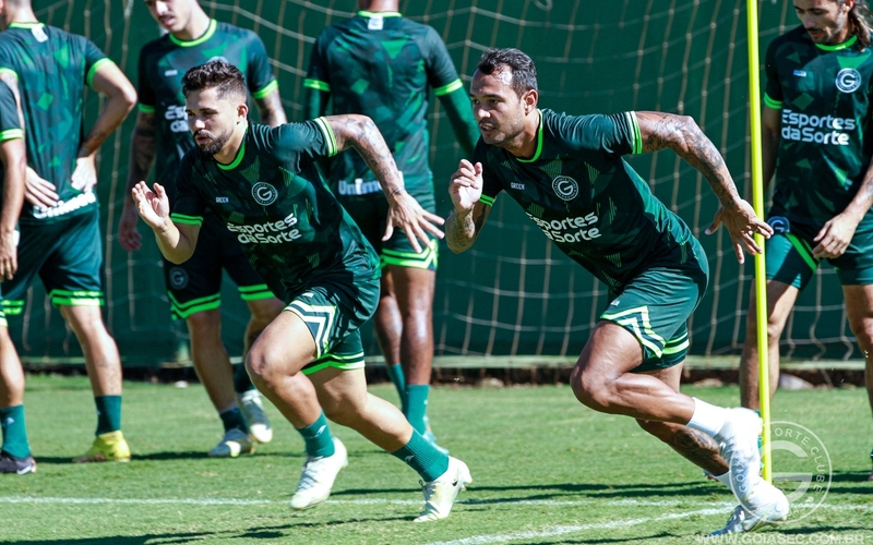 Goiás x Palmeiras - Esmeraldino está pronto para o duelo