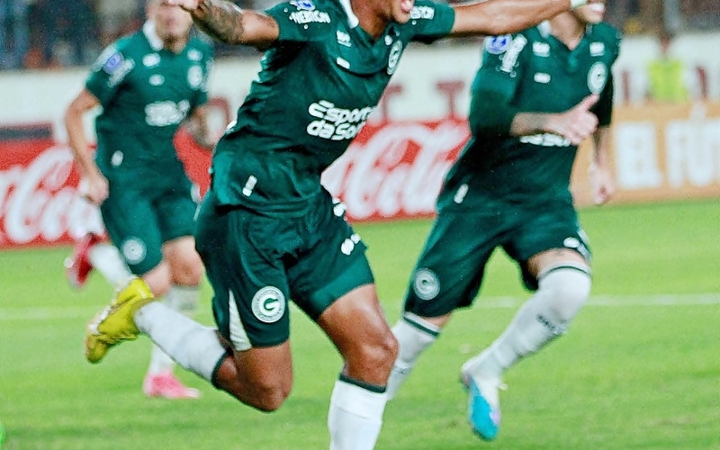 Goiás x Botafogo vai começar! Confira o Guia da Partida em 14/05/2023