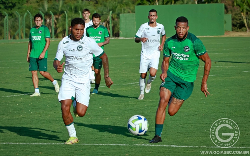 Verdão se reapresenta e inicia preparação para enfrentar o Cruzeiro