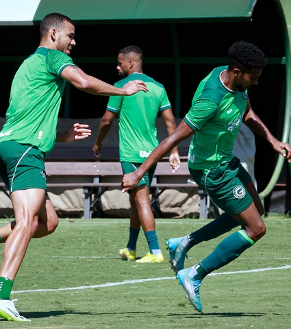 Verdão pronto para a volta do Brasileirão