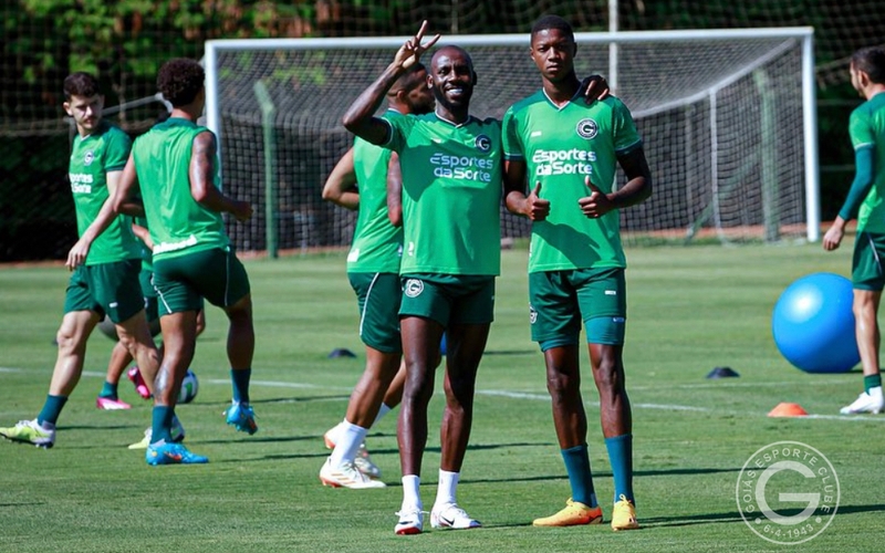 Verdão pronto para encarar o Flamengo