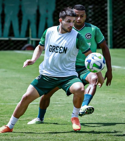 Verdão finaliza preparação para enfrentar o Santos
