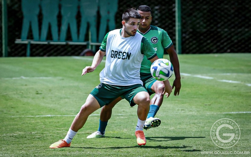 Verdão finaliza preparação para enfrentar o Santos