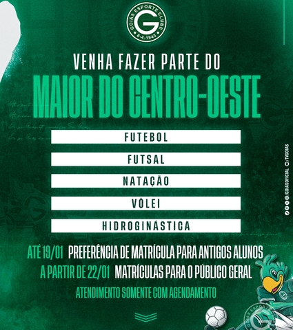 ESCOLINHAS DE VOLTA!