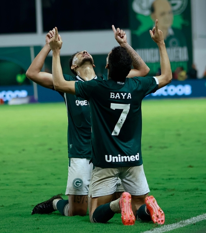 Com gol de Baya, Verdão vence o Novorizontino