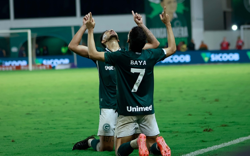 Com gol de Baya, Verdão vence o Novorizontino